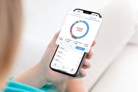 Personal Expense Tracker